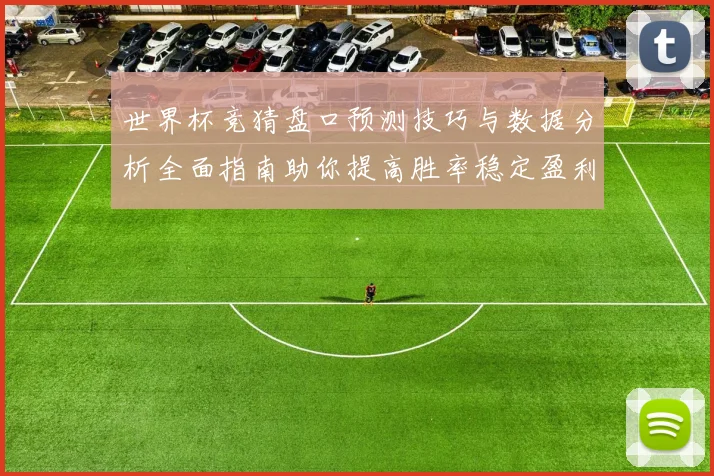 世界杯竞猜盘口预测技巧与数据分析全面指南助你提高胜率稳定盈利