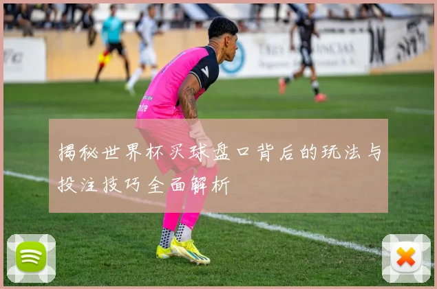 揭秘世界杯买球盘口背后的玩法与投注技巧全面解析
