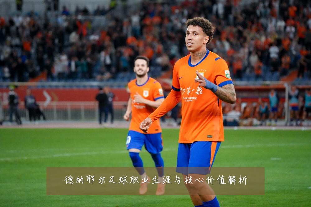 德纳耶尔足球职业生涯与核心价值解析